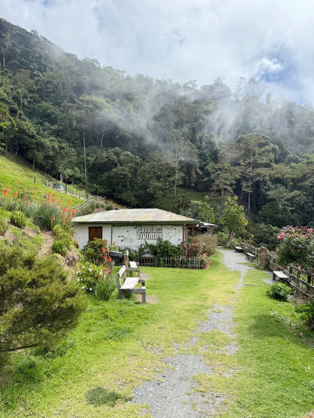 Valle de Cocora：南美的失落山谷_8_.jpg