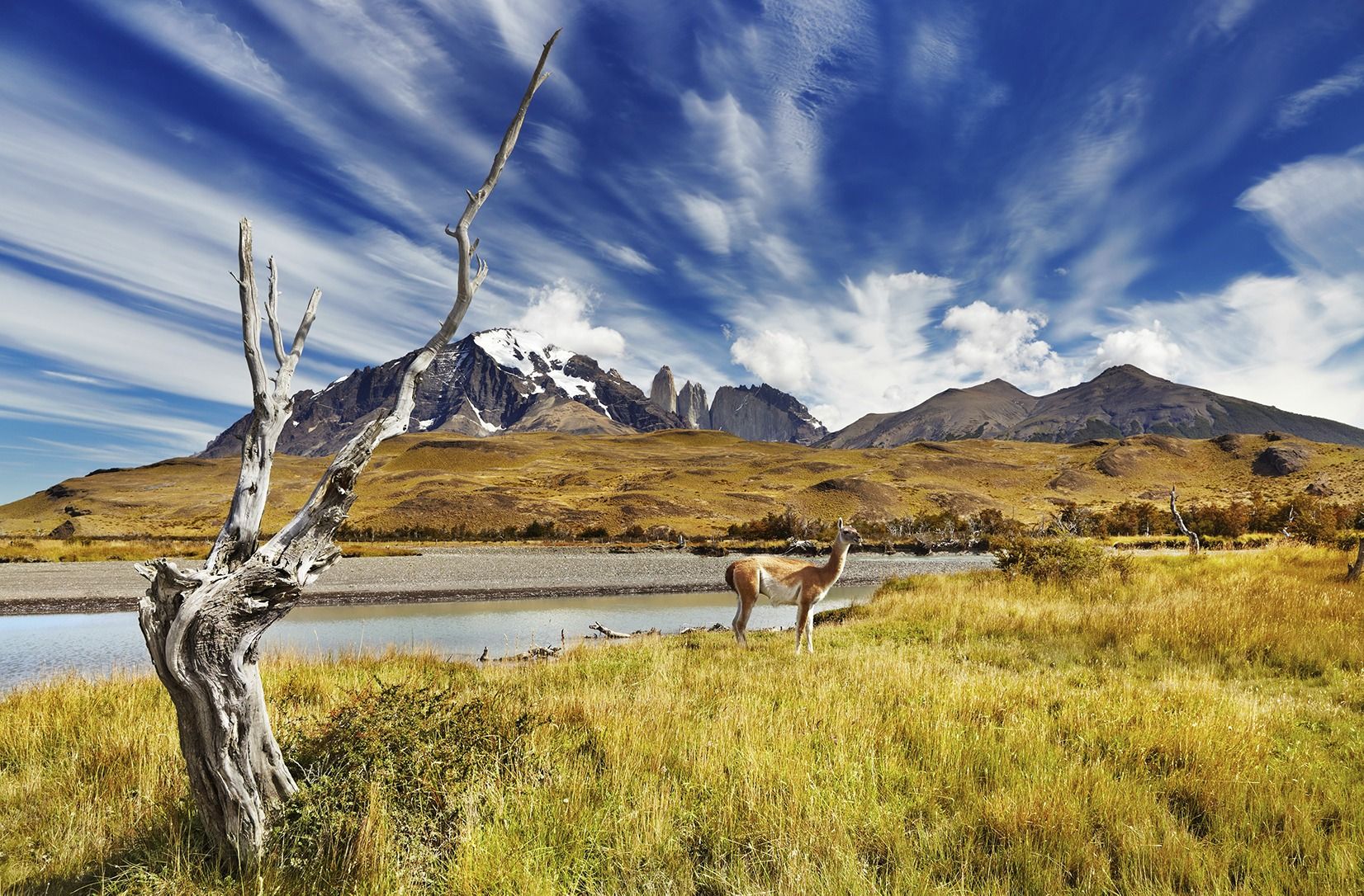 Torres-del-Paine.jpg