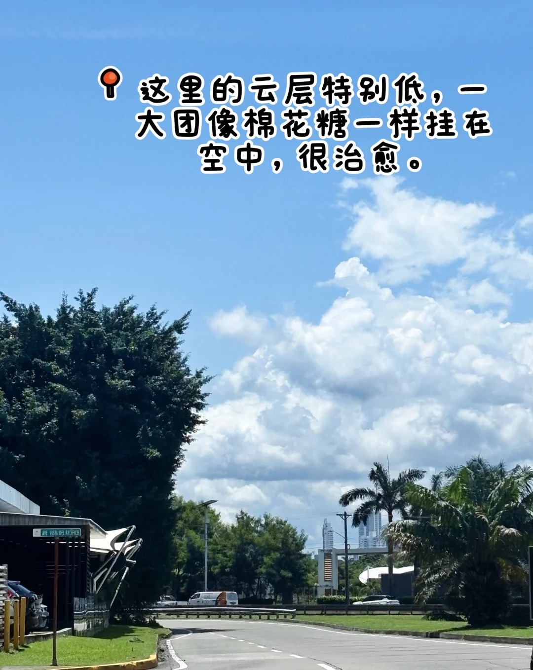 🌴巴拿马 _ 中美洲三日慢游全攻略🦥_8.jpg