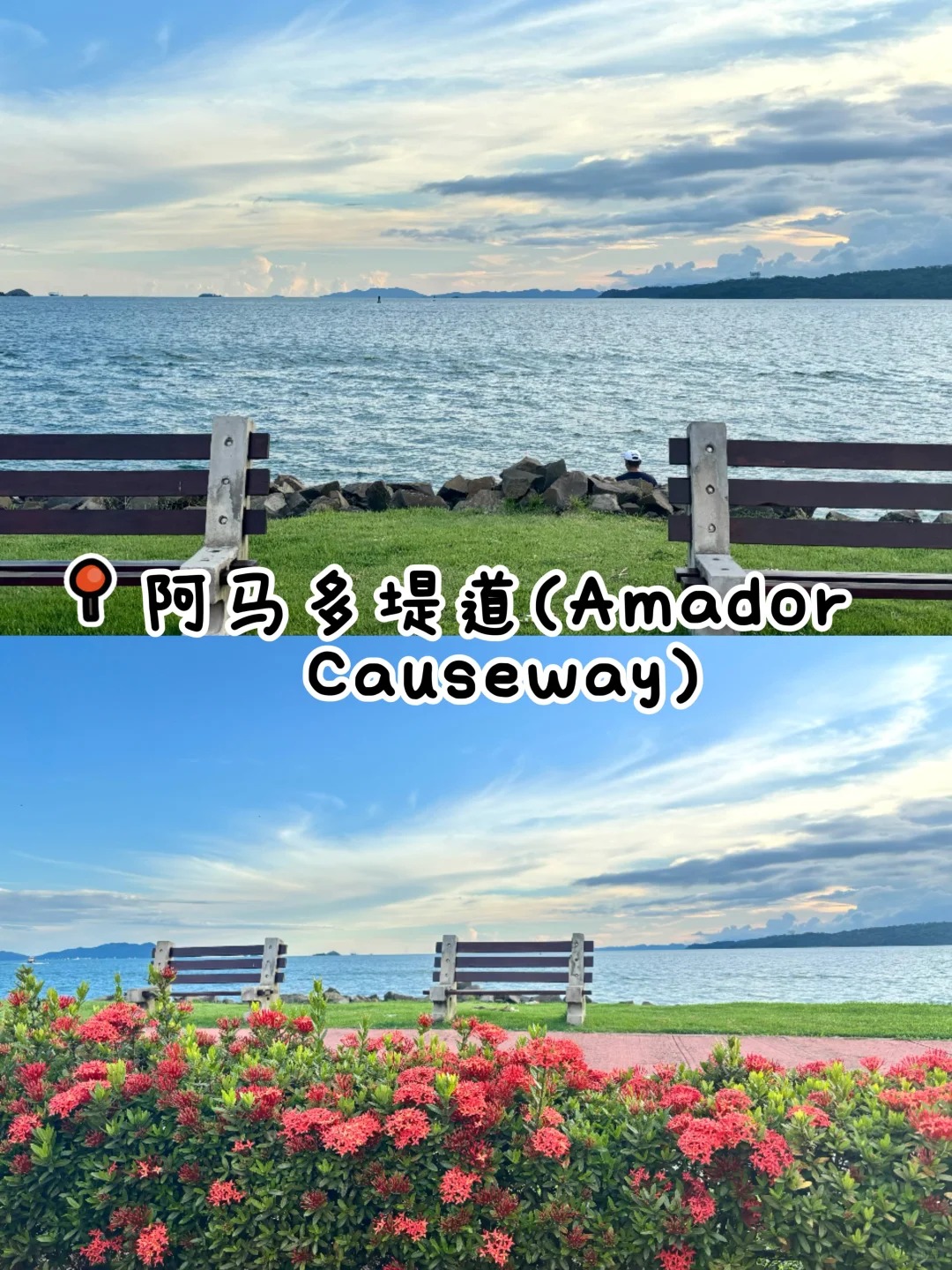 🌴巴拿马 _ 中美洲三日慢游全攻略🦥_3_.jpg