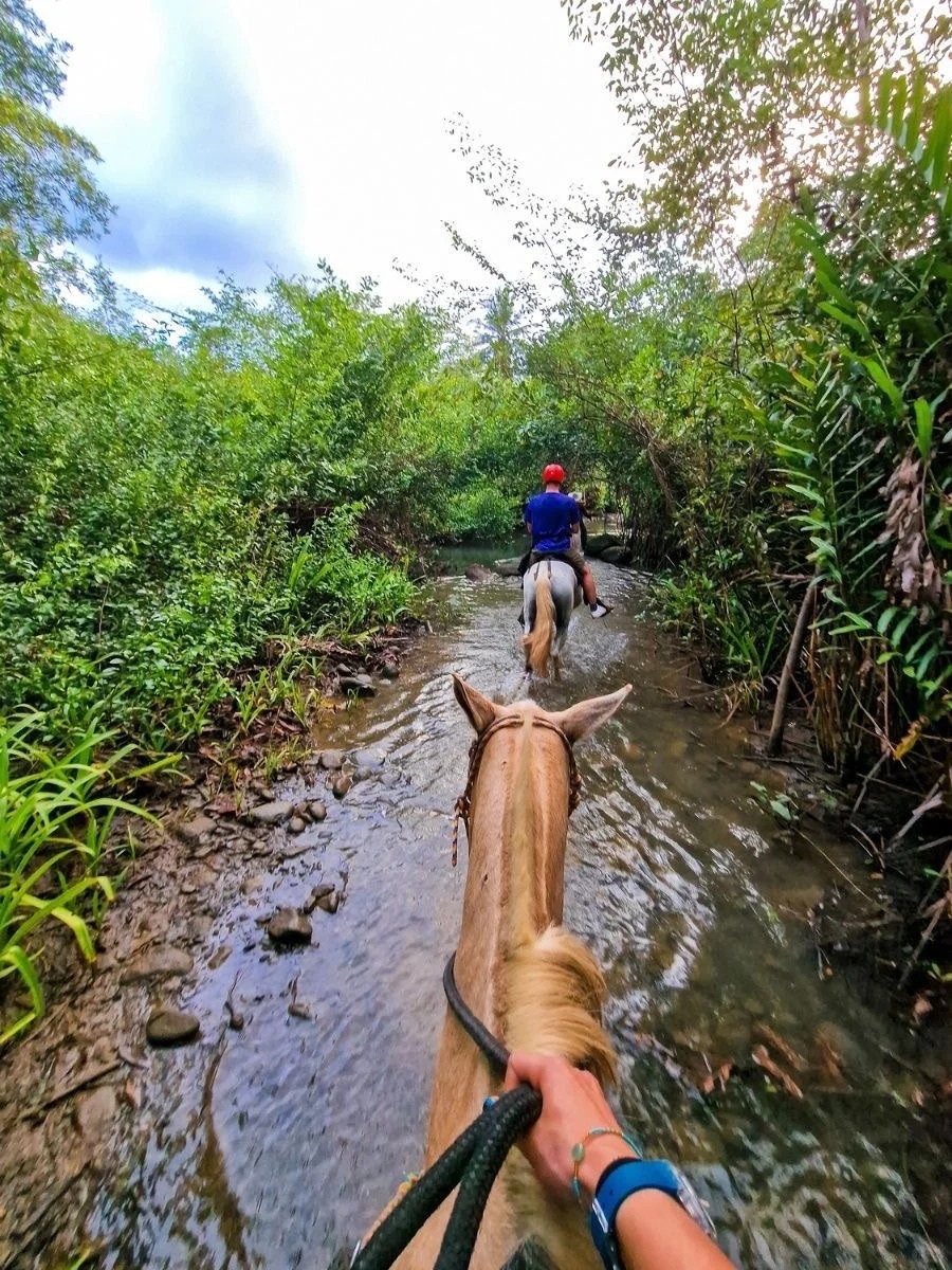 哥斯达黎加怎么玩？雨林泡温泉➕骑马超治愈🐎_3.jpg