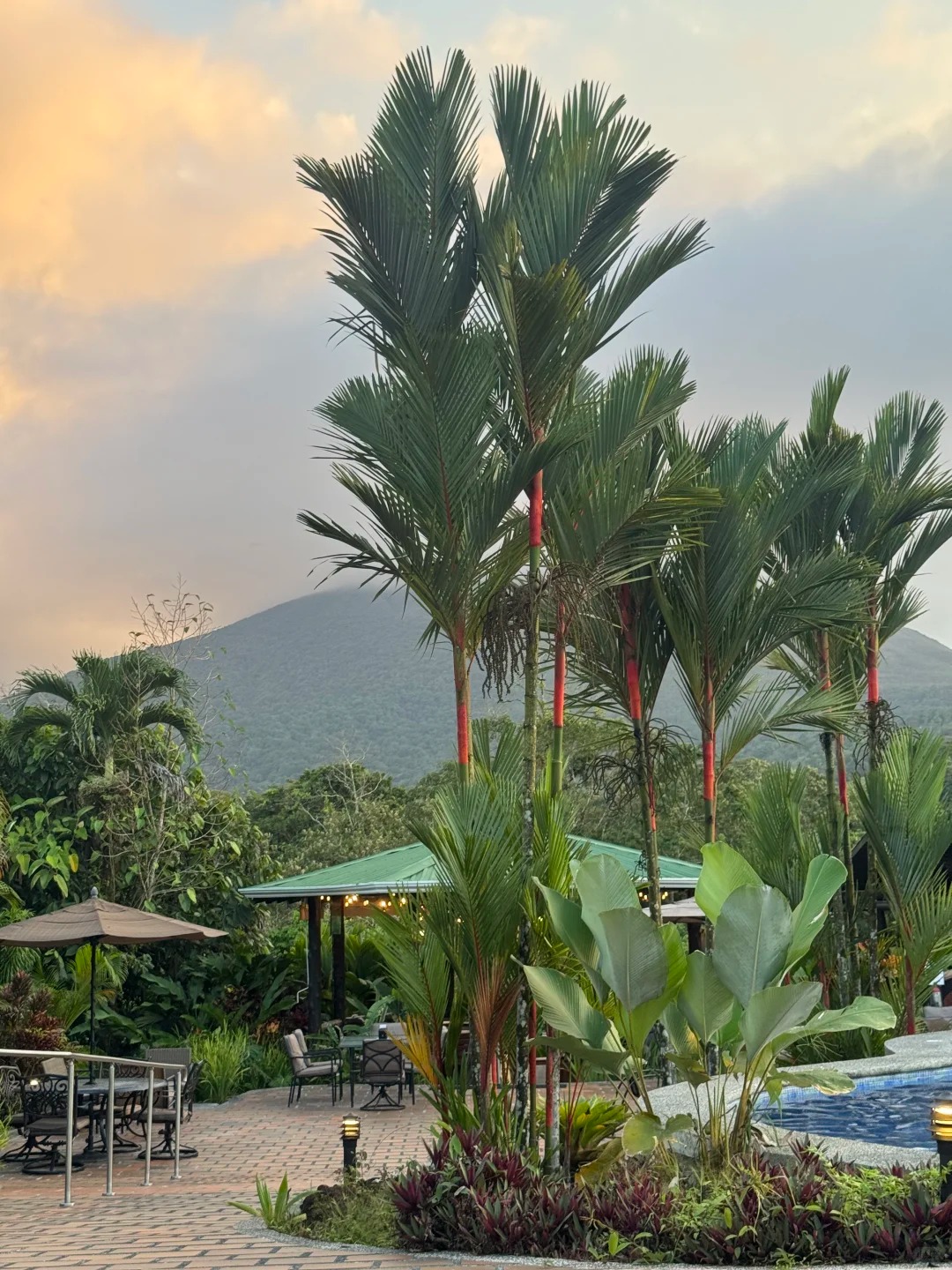 🇨🇷哥斯达黎加，Pura Vida纯净生活_18.jpg